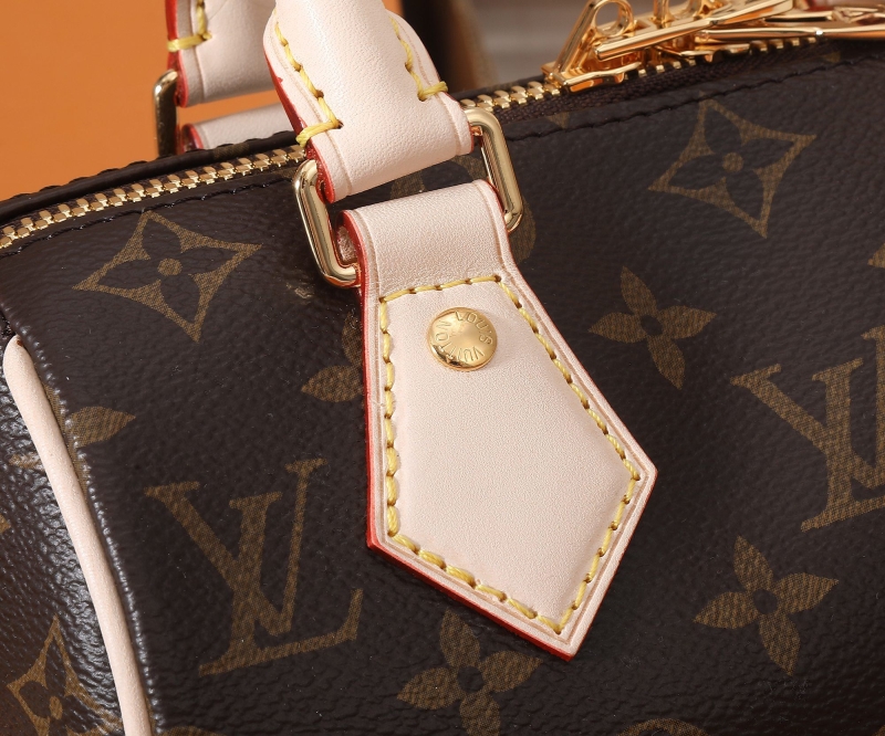 LV Speedy Bags